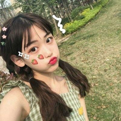 极岛森林第二季